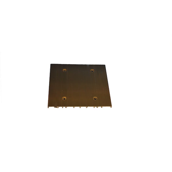 PLATE KICK BLACK 5.94 T30